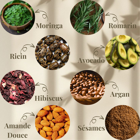 Pack de 3 Huiles Réparatrices & Hydratantes + Brosse Masseuse et 1 Sachet Tebrima