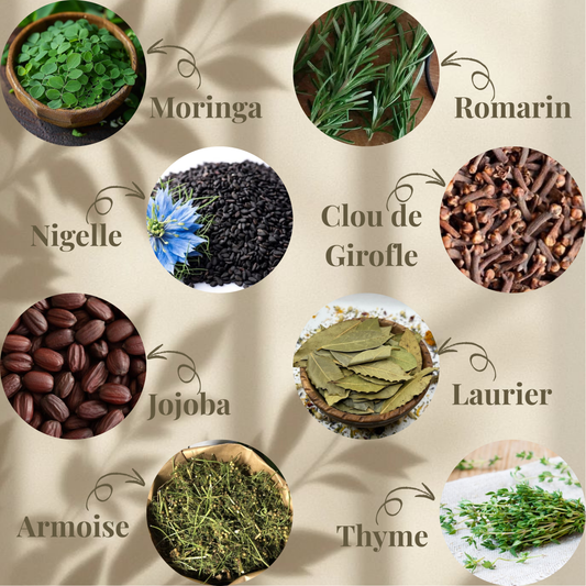 Pack de 3 Huiles Sébo-équilibrantes + Brosse Masseuse et 1 Sachet Tabrima Gratuit